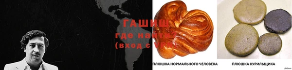 герыч Алексин