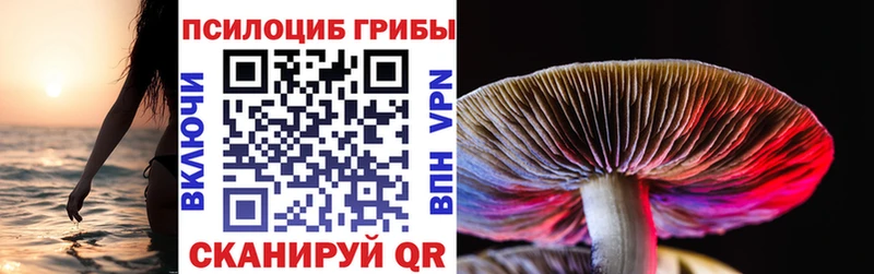 Псилоцибиновые грибы мицелий  Трубчевск 